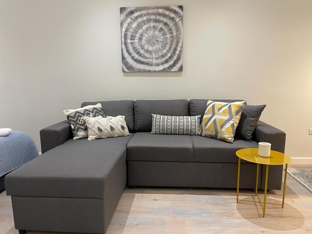 Apartament City Center Studio Tirana